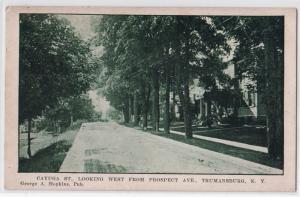 Cayuga St, Trumansburg NY