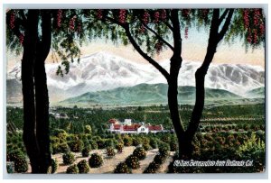 Redlands California CA Postcard Mt. San Bernardino Residence Section c1940's