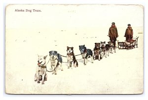 Postcard Alaska Dog Team c1912