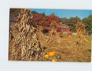 Postcard Farm field after the fall harvest, Pliny Freeman Farm, Sturbridge, MA