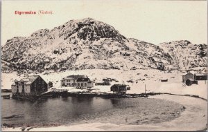 Norway Digermulen Vinter Vintage Postcard C127