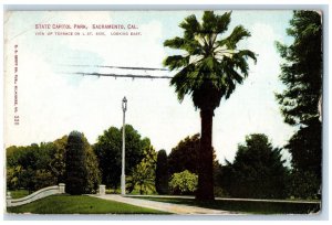 1911 View Up Terrace State Capitol Park Sacramento California CA Postcard 