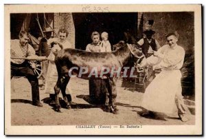 Old Postcard Chailley In battery! (Ane donkey)