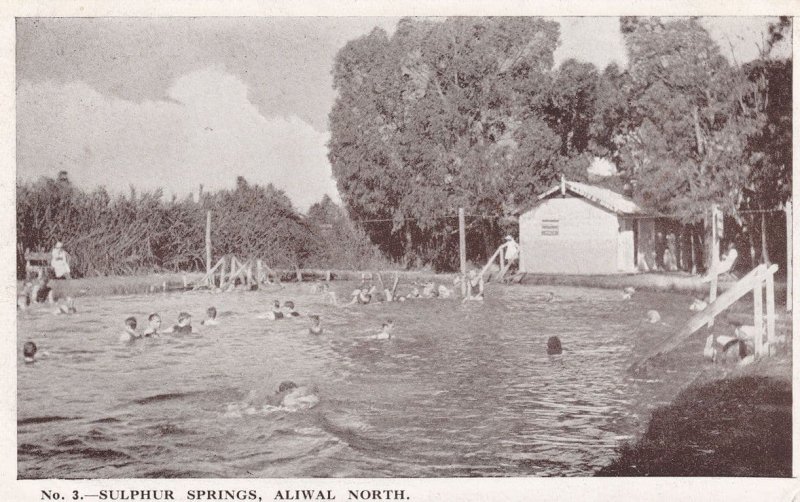 Sulphur Springs Swimming Pool Aliwal North South Africa Postcard