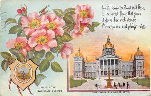 Wild Rose State Flower Des Moines, Iowa, USA State Capitol 1911 