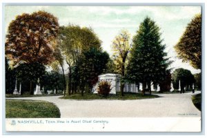 c1905 View in Mount Olivet Cemetery Nashville TN Raphotype Tuck Art Postcard