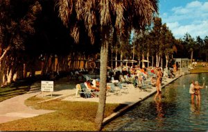 Florida Venice Warm Mineral Springs