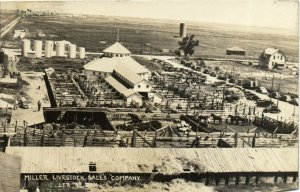 PC CPA US, SOUTH DAKOTA, LEE, MILLER LIVESTOCK, REAL PHOTO POSTCARD (b5505)