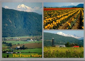 Canada Fraser Valley Abbotsford Fertile Farmland Multi View