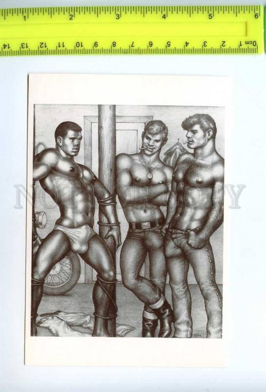 219207 Tom of FINLAND gay theme drawing old postcard