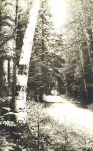 Real Photo - Birch Road in Jackman, Maine