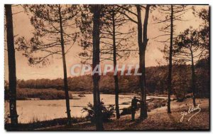 Old Postcard Landscape In the Landes de Gascogne has Aureilhan