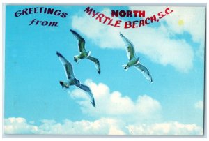 Greetings From North Myrtle Beach South Carolina SC, Birds View Postcard