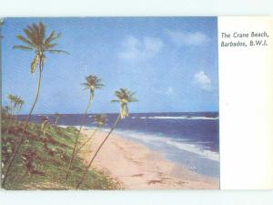 Pre-1980 NICE VIEW Crane Beach In St. Philip Barbados i5184