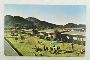Ventura Estates, Newbury Park, Cal. Vintage Postcard P106
