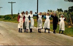 Pennsylvania Amishland Seven Amish Girls In Colorful Garb