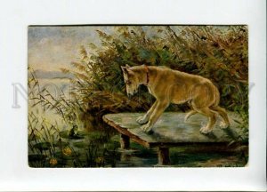 3156662 DOG Hunt FROG by STOCKS Vintage Novitas Color PC