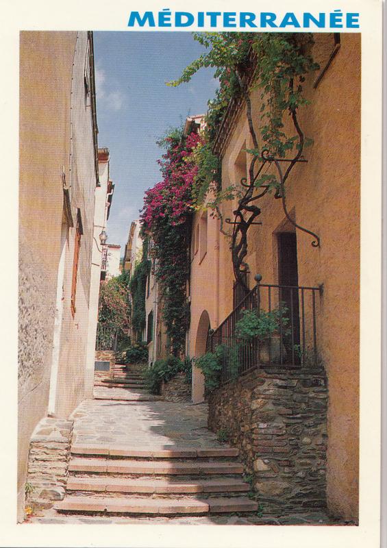 BF12676 ruelle typique la rue dugommier collioure  france  front/back image