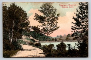 1908  Padanaram Reservoir   Danbury  Connecticut   Postcard