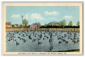 c1950's View of Swans Jack Miner's Bird Sanctuary Kingsville Canada Postcard