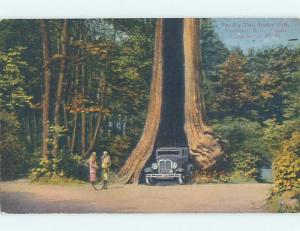Divided-Back POSTCARD FROM Vancouver British Columbia BC HM7420