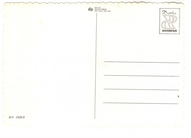 Champion Palomino, Thoroughbred Horse