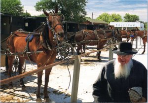 Postcard  Amish Parking area for Amish horse and buggy