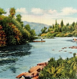 Mouth Of Musquocook Stream Maine Postcard Nature Landscape c1930s DWS5B