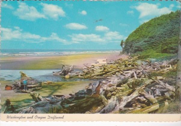 Trees Washington & Oregon Driftwood Along The Beach