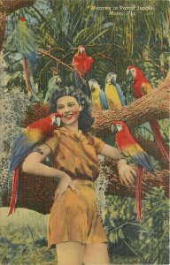 Miami Florida Parrott Tropical Jungle Postcard linen 21-13391