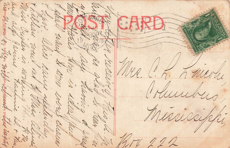 Birmingham Alabama AL~Loveman Joseph Loeb Building Dept Store~1908 POSTCARD