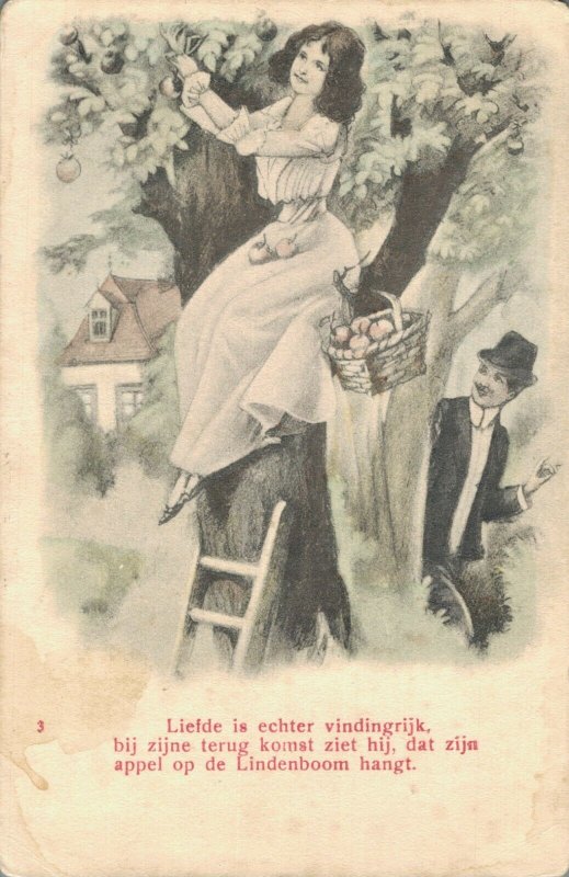 Romantic Couple with a Apple Tree Vintage Postcard 03.33