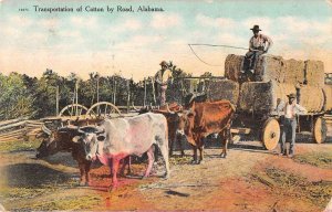 Alabama Transporting Cotton Ox Wagon Vintage Postcard AA52315