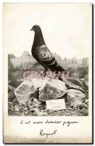 Postcard Old Pigeon Dove Colombogramme commander Raynal Fort Vaux Army