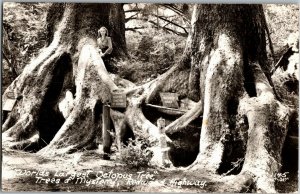 RPPC Trees of Mystery Octopus Tree Redwood Highway Oregon Vintage Postcard T36