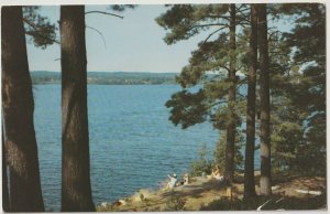 VINTAGE POSTCARD LAKE VIEW PANORAMA UNDER COMFORT OF FOLIAGE