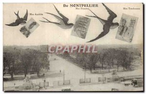 Montpellier Old Postcard My thoughts Swallows