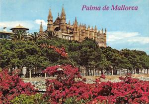 BR49072 Mallorca palma la catedral    Spain