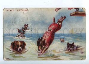 202990 Dressed DOG CAT Swimming by ELLAM Vintage TUCK #9636 PC
