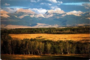 Pine Butte Swamp Nature Conservancy Choteau Montana Postcard