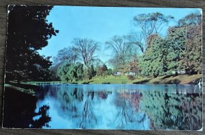 Postcard Used “Wisteria & Dogwood” Southern Pines NC PM/1939 Linen L31