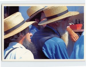 Postcard A group of Bearded Amish Gentlemen Amish Country Pennsylvania USA