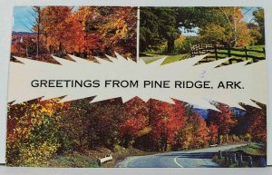 Arkansas Greetings from Pine Ridge Ark Split View Fall Colors Postcard L20