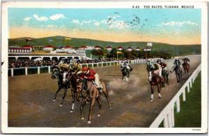 The Horse Races, Tijuana Mexico The Big Curio Store Vintage c1929 Postcard I03