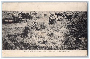 Bismarck North Dakota ND Postcard Harvesting Farming Field 1908 Vintage Antique