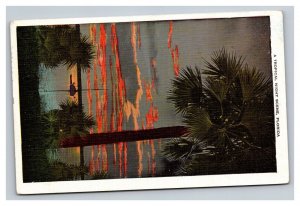 Vintage 1936 Postcard A Tropical Night Scene, Florida