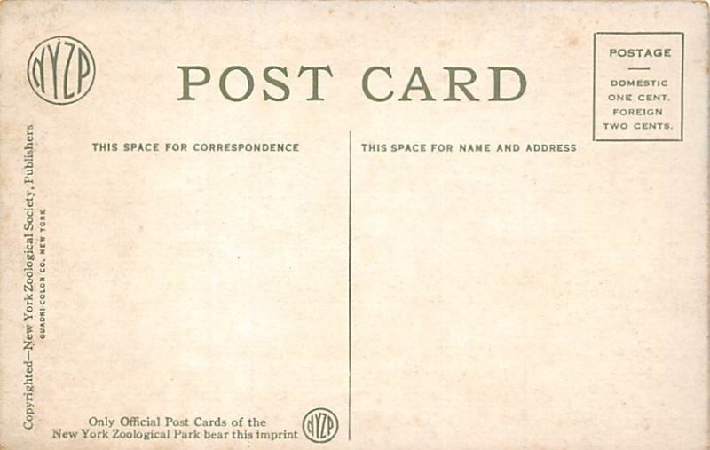 Sable Antelope Deer Unused 