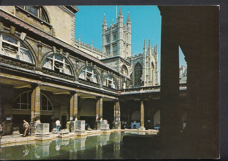 Somerset Postcard - The Great Roman Bath & Bath Abbey  B2362
