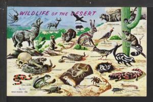 Wildlife of the Desert Postcard 