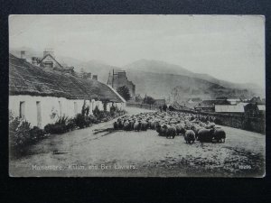 Scotland SHEEP HERD at MONEMORE, KILLIN & BEN LAWERS Old Postcard by H. Horwood